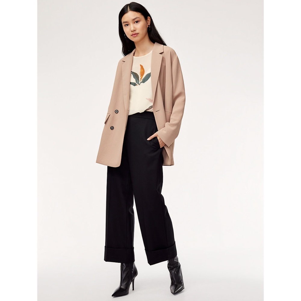 NWT ARITZIA Wilfred Lucille Pant